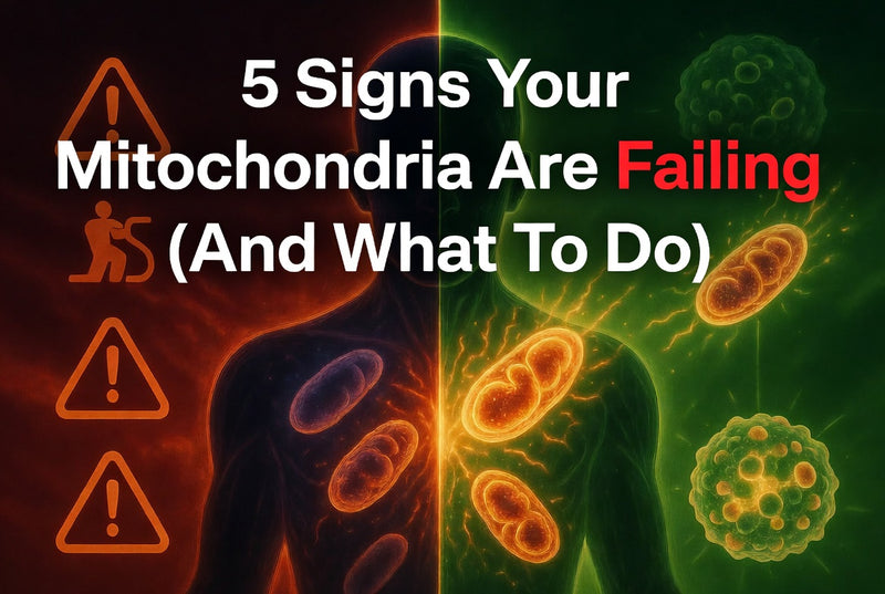 5 Signs Your Mitochondria Are Failing (And What To Do)