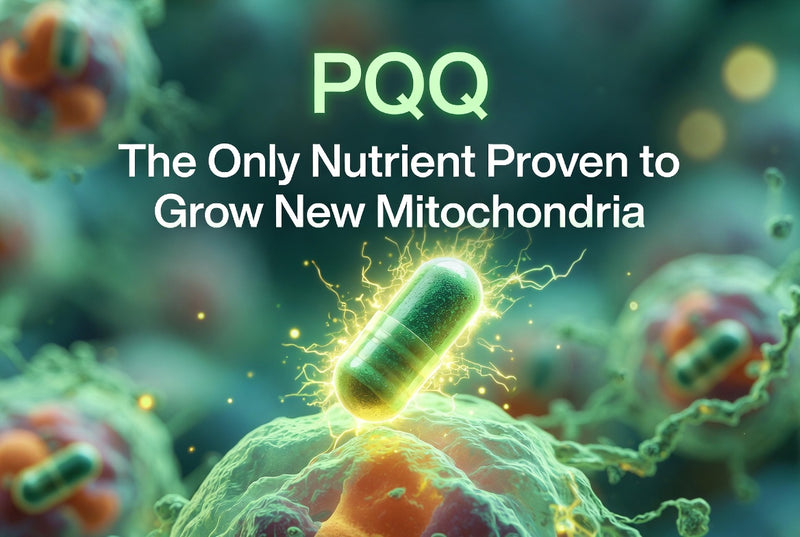 PQQ: The Only Nutrient Proven to Grow New Mitochondria