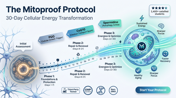 The Mitoproof Protocol — 30-Day Cellular Energy Transformation